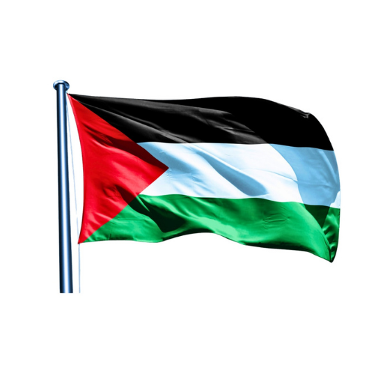 Palestine flag