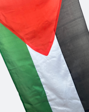Palestinian Flag